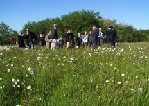 Sur le champ de la bataille du Grand-Auverné