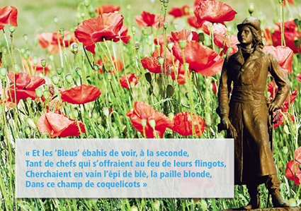 « L’épi de blé, la paille blonde, dans ce champ de coquelicots… »